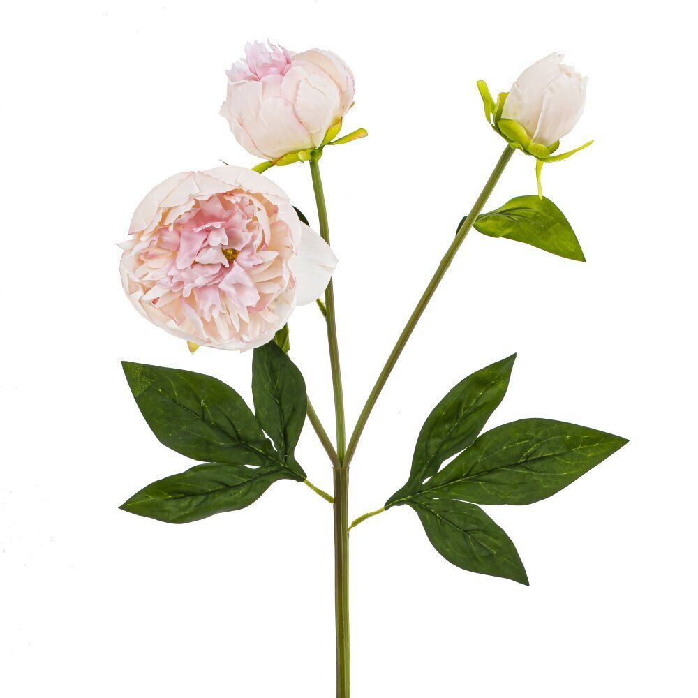 GAEM Цветок искусственный "Пион", L17 W9 H63 см