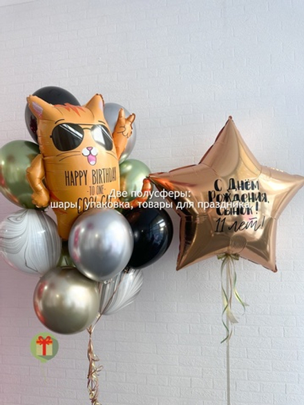 Набор шаров Крутой кот
