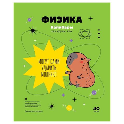 Тетрадь предметная 40л. Физика "Записки школьника" (BG)