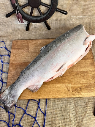 Форель морская 1,8-2,7 кг