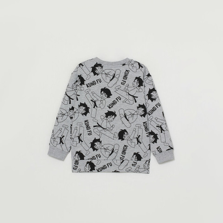 Джемпер модель "свитшот" для мальчика