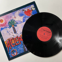 Винтажная виниловая пластинка LP Асса (СССР 1987) Чудесная Страна