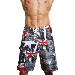 Мужские пляжные шорты Quiksilver темно-серые Great Britain