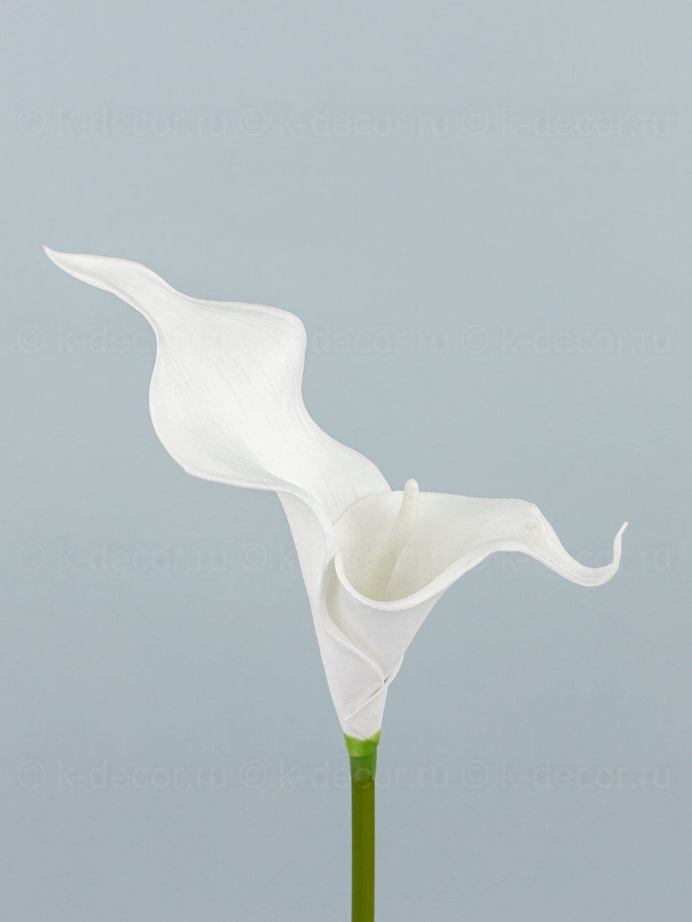 Каллы латекс БИГ