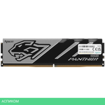 Оперативная память Apacer Panther DDR5 16GB (AH5U16G60C6227BAA-1)