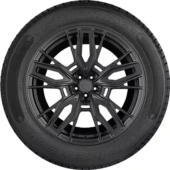 Gripmax Grip Ice X SUV 265/65 R17 112T