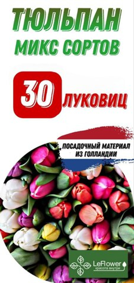 Тюльпаны, смесь разных сортов 30шт.