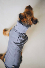 Попона "Пони-попони" темно-серая