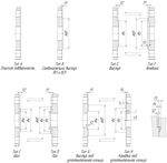 Фланцы EN 1092-1