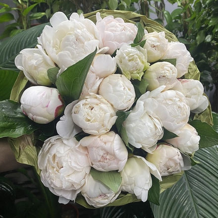 🌸♛ Фестива Максима (Festiva Maxima) — букет ароматных пионов — 8 марта у Феи