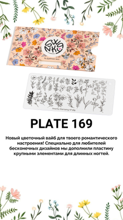 Пластина Swanky Stamping 169