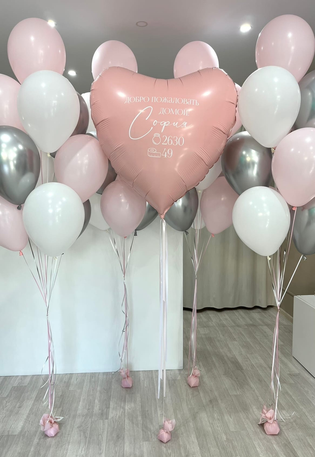 Шары на выписку №81