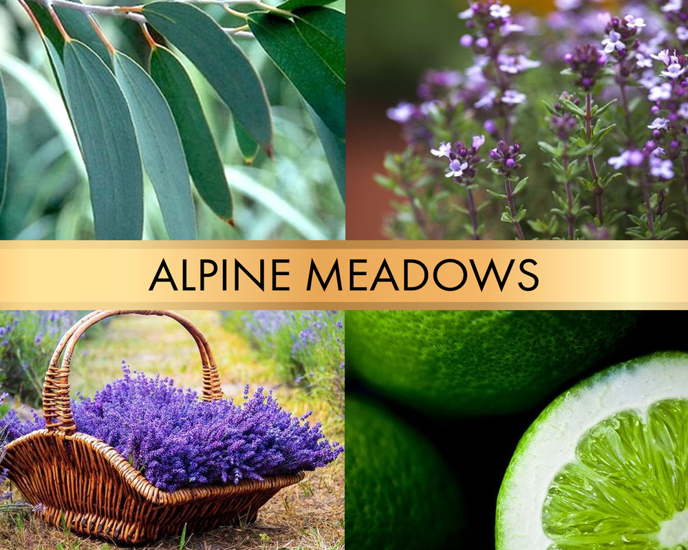 Alpine meadows (Альпийские луга)