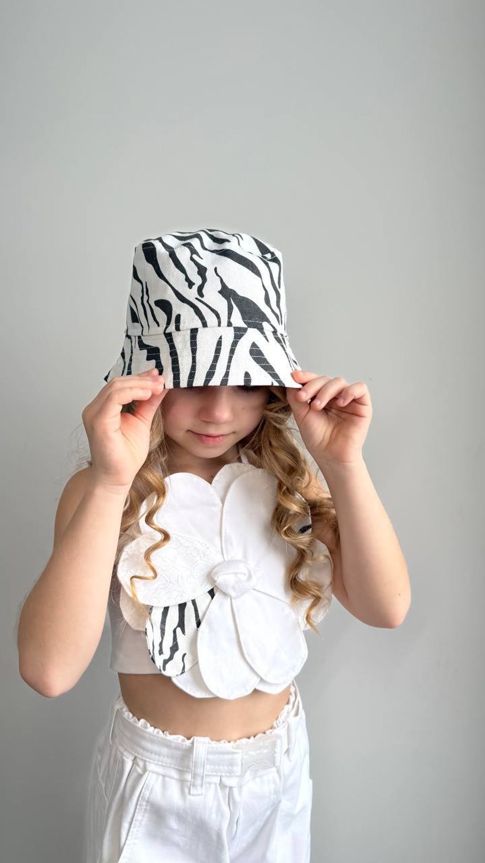 Панама зебра