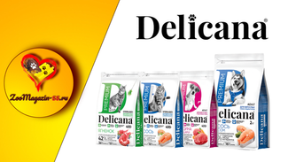Акция на корма «Delicana» от -10% до -20%