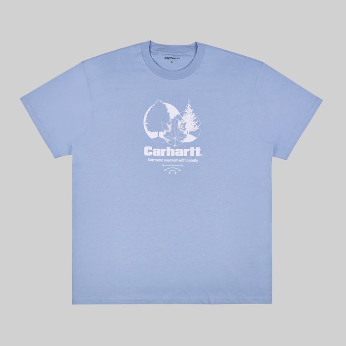 Футболка мужская Carhartt WIP Surround артикул:I033183_frosted_blue - купить в магазине Дайс