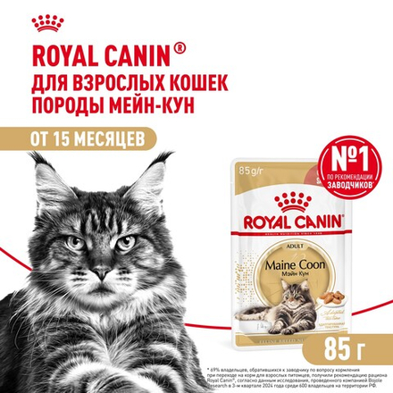 Royal Canin Maine Coon Adult Корм консервированный для взрослых кошек породы Мэйн Кун соус 85г