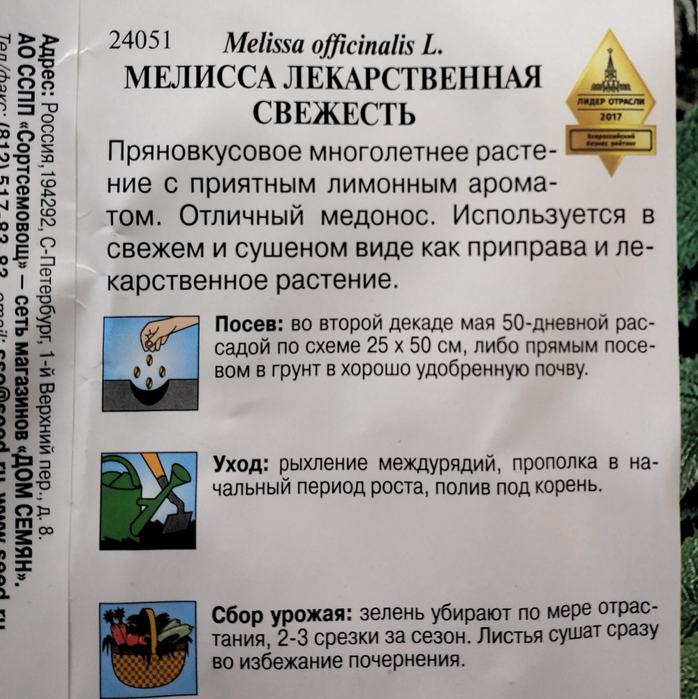 Мелисса лекарственная СВЕЖЕСТЬ