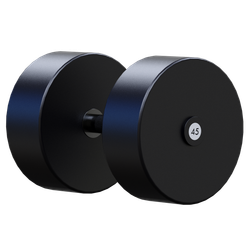 Гантель профессиональная 45кг