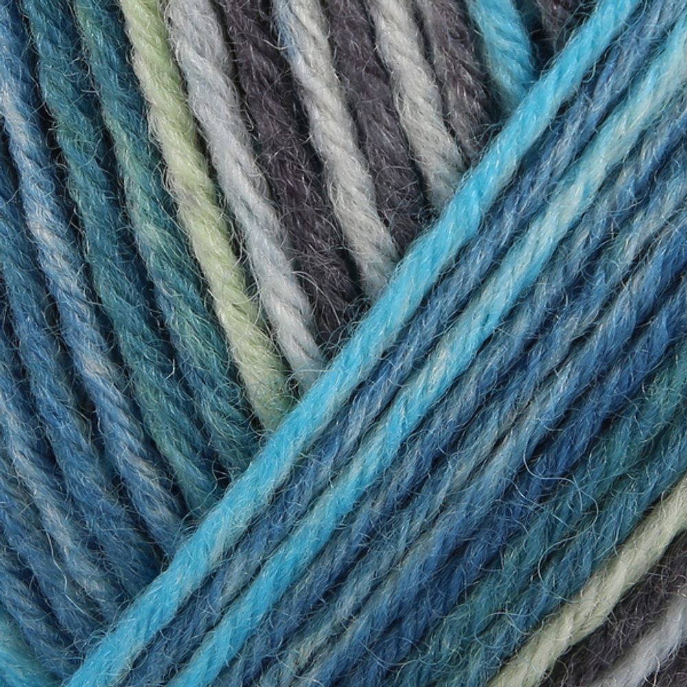 Пряжа для вязания Nordic Nature Color (06103) Schachenmayr Regia, 6 ниток (150г/375м).
