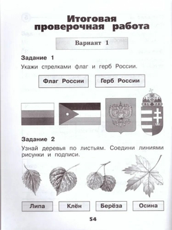 Окружающий мир. Проверочные работы. 1 класс. Школа России. Плешаков А. А. Плешаков С. А.