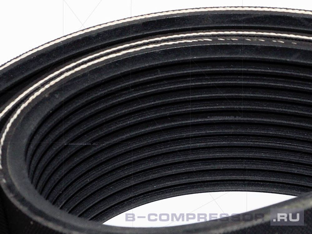 Ремень поликлиновый 12 PL1664 фото 2