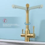 Смеситель для кухни с подключением фильтра Raglo R81.61.03, золотой сатин