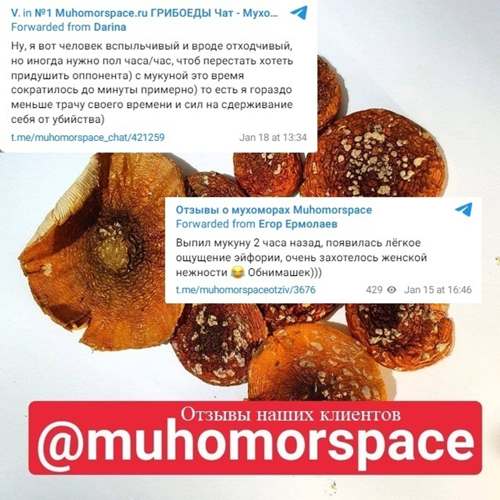 АКЦИЯ 2+1 Мукуна жгучая экстракт в капсулах запас на 3 месяца 180 капсул