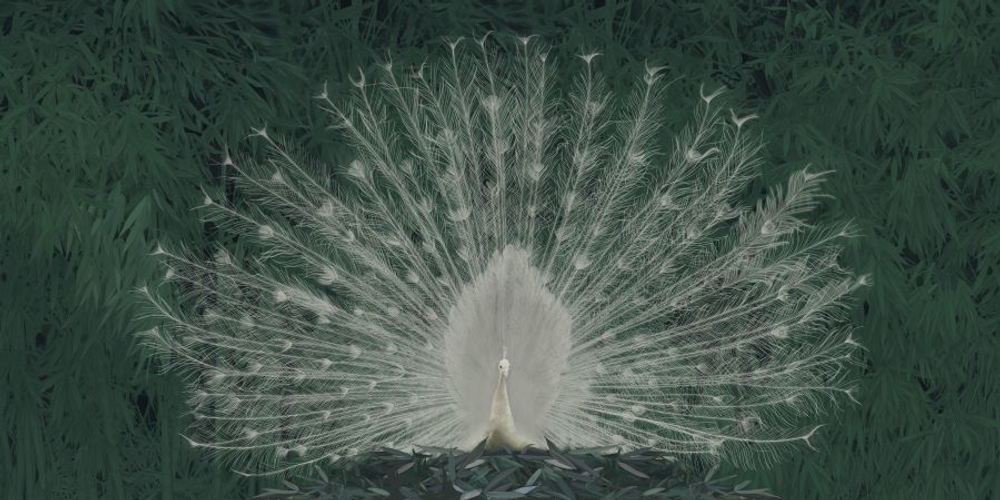 Фреска Applico, коллекция Natura