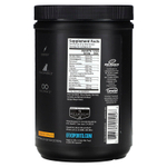 EFX Sports, Training Ground, PRE, со вкусом апельсина и манго, 500 г (1 фунт, 1,64 унции)