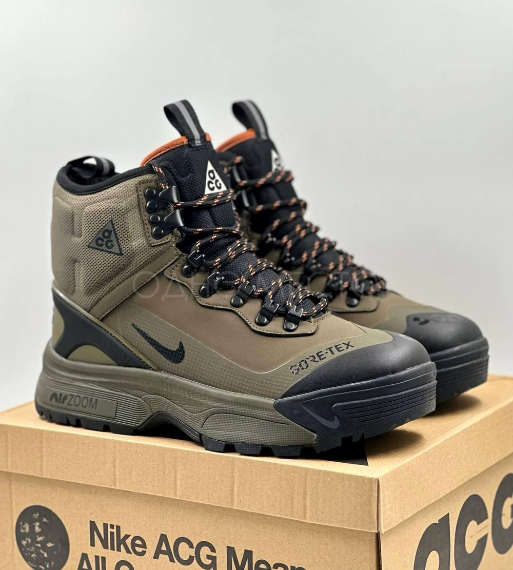 Ботинки Nike ACG Zoom Gaiadome (с мехом)