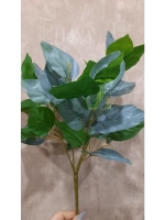 Куст сирени