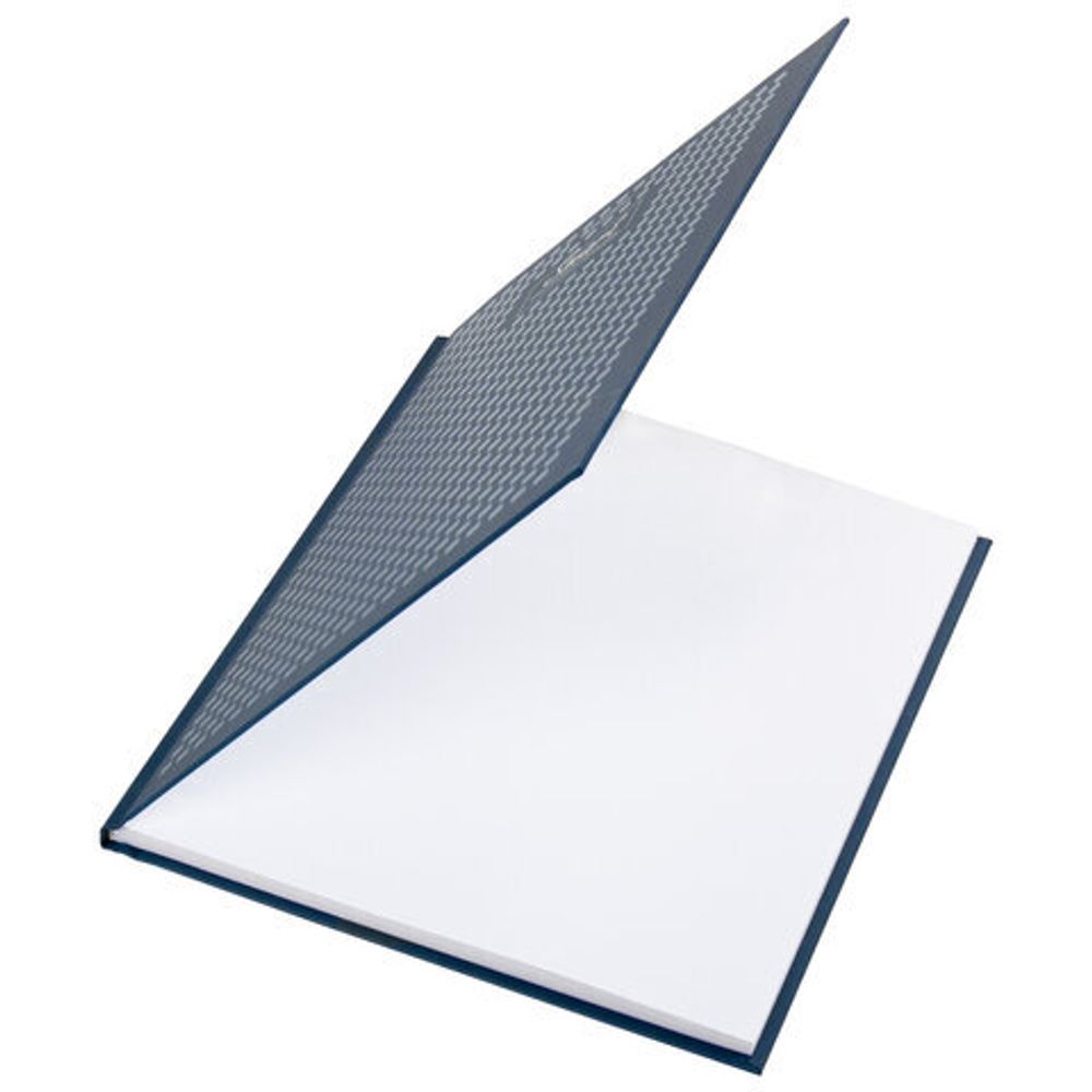 Дневник 5-11 класс 48 л., твердый, BRAUBERG, выборочный лак, с подсказом, "Stylish", 106409