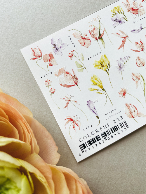 IBDI Слайдер дизайн COLORFUL №223