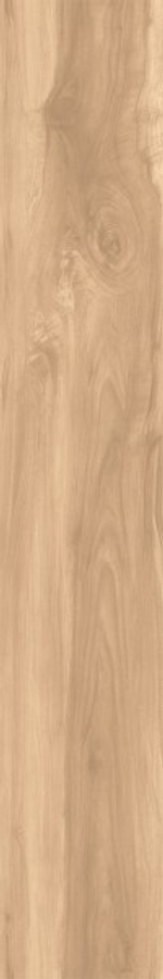 FOSSIL WOOD BRICH CW-RT09-B