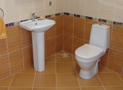 Унитаз-компакт Sanita Лада Эконом  с сидением стандарт