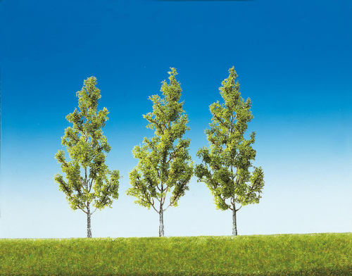 3 высоких березы 13 см