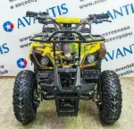 Электроквадроцикл Avantis CLASSIC E 1000W