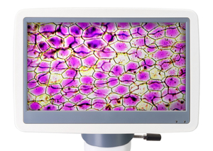 Микроскоп цифровой Levenhuk D85L LCD