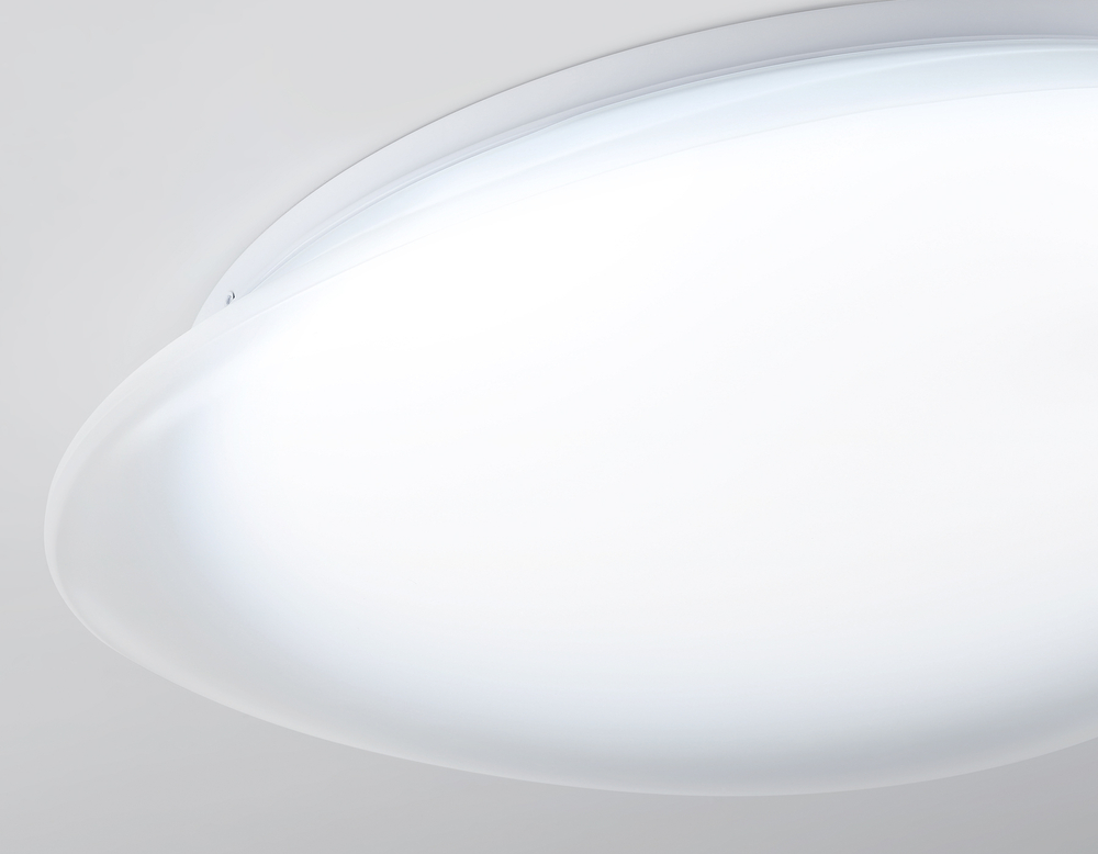 FZ1605 FR матовый IP20 60W 5000K 510*100 (Без ПДУ)