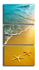 Модульная картина "Морские звезды"