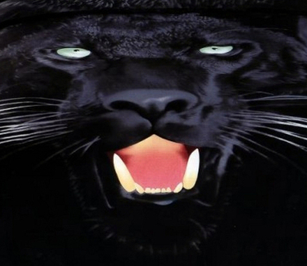 Комплект постельного белья 3D (арт. CL15/640-3D ) - 1,5 спальный