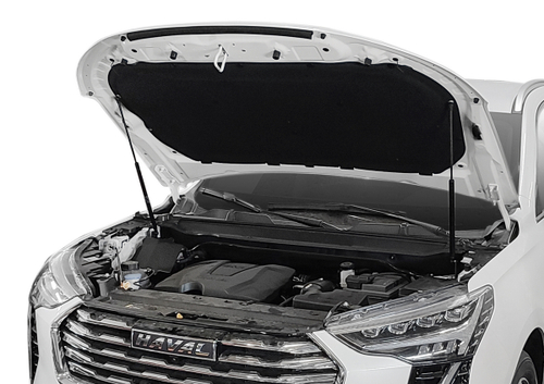 Газовые упоры капота Rival для Haval Jolion 2021-н.в., 2 шт., A.ST.9403.1