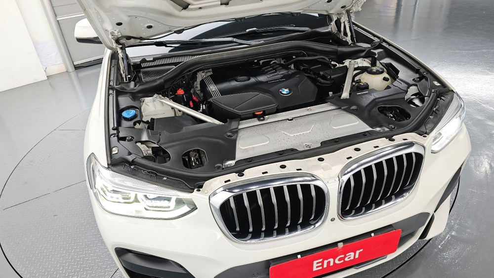 BMW X4 (G02) xDrive20i M Sport X