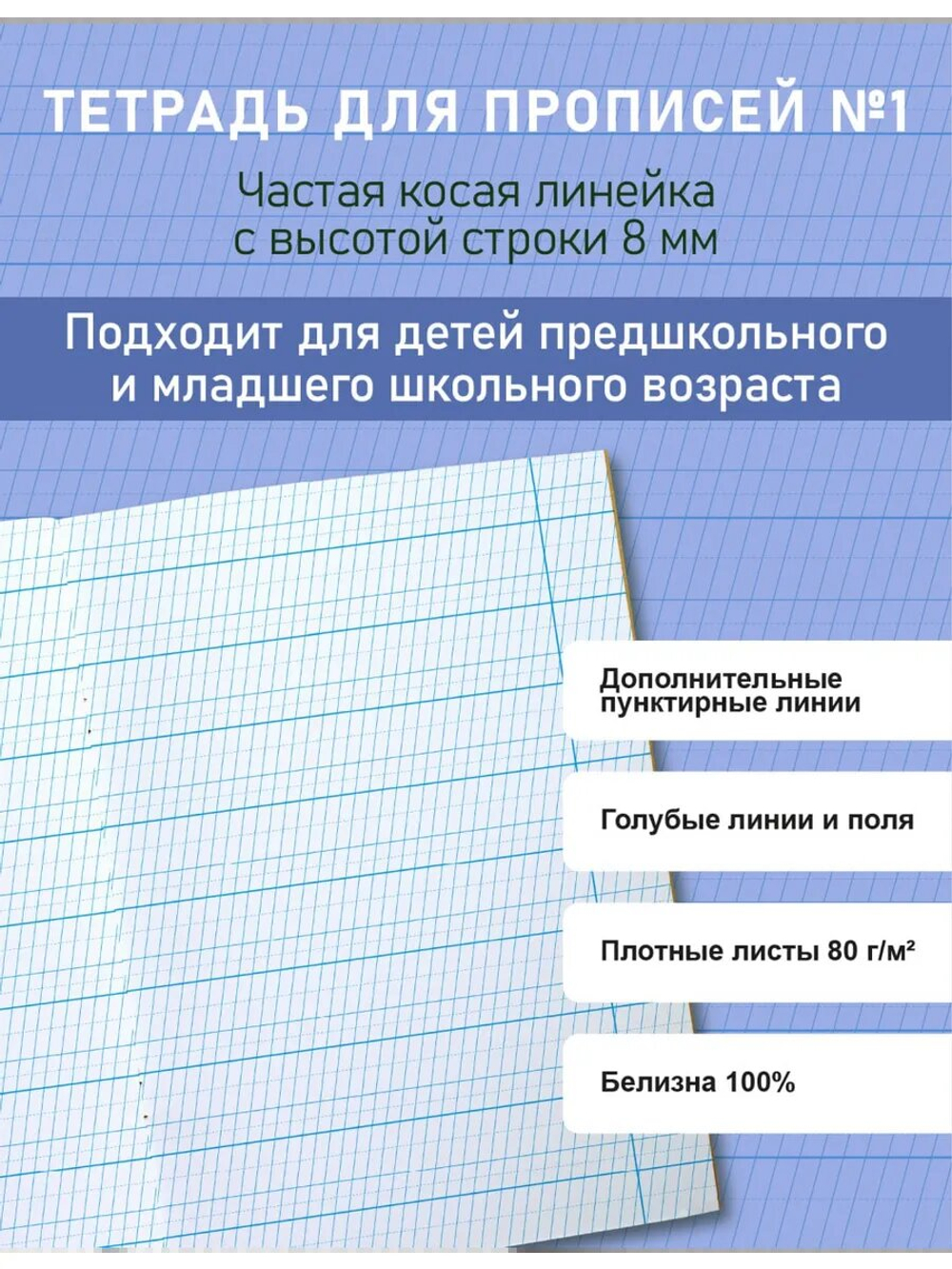 Набор тетрадей для прописей МИКС, 12 шт
