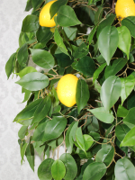Искусственное дерево Лимон 150 см в высоком кашпо графит 46 см