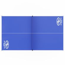 Теннисный стол DFC ATHELETIC , размер по стандарту ITTF 274 x 152 см сетка в комлпекте