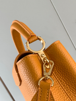 Louis Vuitton Capucines Mini