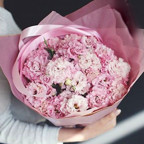 Купить Эустома махровая розовая от 9шт