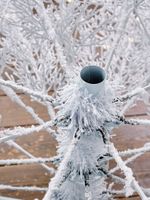 Искусственная белая елка с гирляндой встроенной «Normandia» Нормандия (коралловые ветки) от 2,1 м до 2,4 м